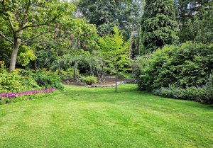 Optimiser l'expérience du jardin à Tregrom